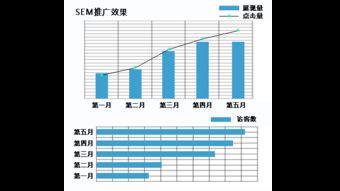 保时捷网络营销案例 上海曼朗整合营销公司的网络营销策划解析